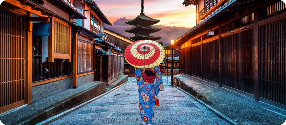 Japan - Overview